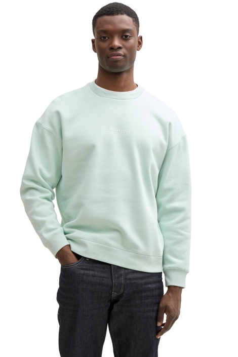 Tom Tailor relaxed printed crewneck sweat